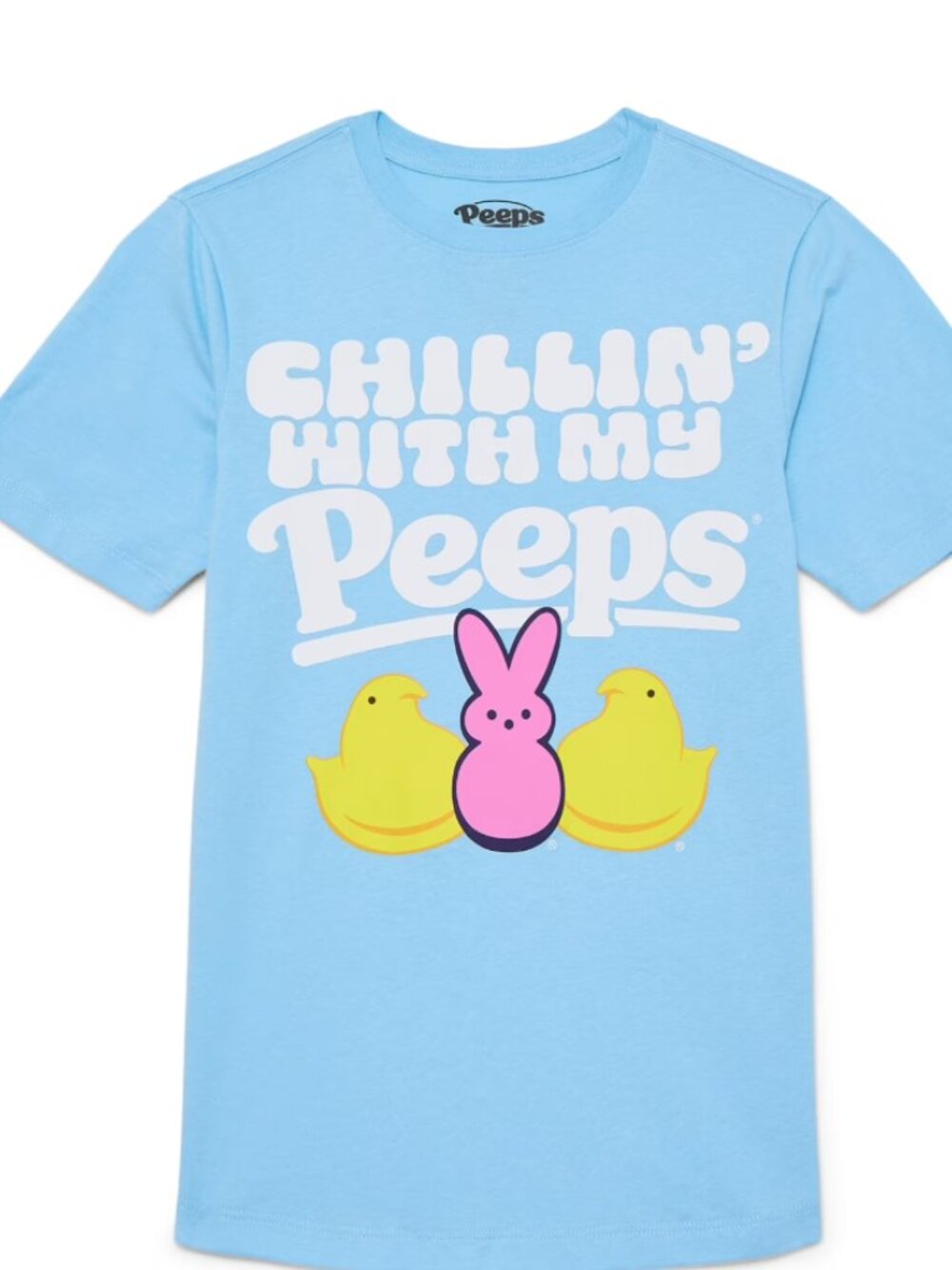 NEW Kid's Peeps Graphic Short Sleeve Small (6/7) T-Shirt